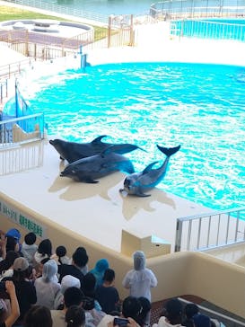 マリンワールド海の中道に投稿された画像（2023/6/6）