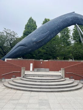 国立科学博物館に投稿された画像（2023/6/6）