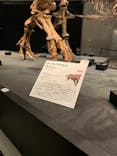 特別展「恐竜博2023」に投稿された画像（2023/6/6）