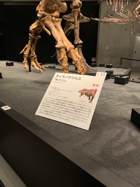 特別展「恐竜博2023」に投稿された画像（2023/6/6）