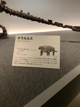 特別展「恐竜博2023」に投稿された画像（2023/6/6）