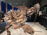 特別展「恐竜博2023」に投稿された画像（2023/6/6）