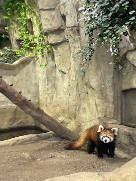 那須どうぶつ王国に投稿された画像（2023/6/6）