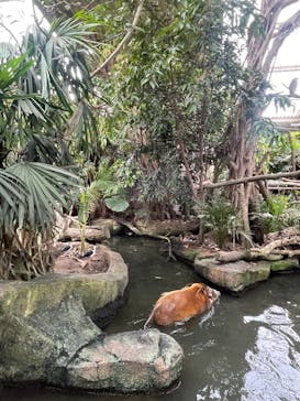 那須どうぶつ王国に投稿された画像（2023/6/6）