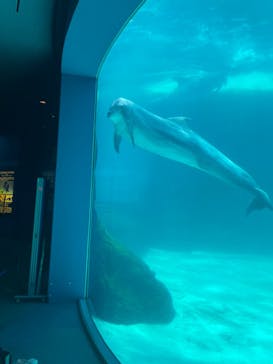 名古屋港水族館に投稿された画像（2023/6/6）
