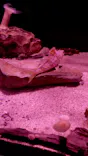 名古屋港水族館に投稿された画像（2023/6/6）