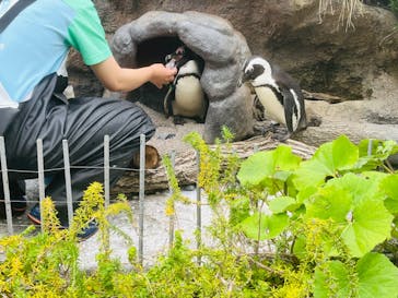 サンシャイン水族館に投稿された画像（2023/6/6）