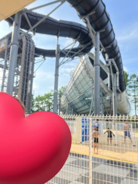 東京サマーランドに投稿された画像（2023/6/6）