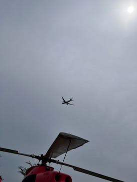 航空科学博物館に投稿された画像（2023/6/6）