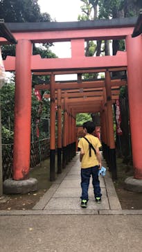 特別展「恐竜博2023」に投稿された画像（2023/6/6）