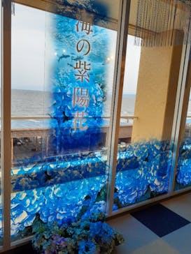 新江ノ島水族館に投稿された画像（2023/6/6）