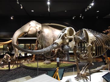 滋賀県立琵琶湖博物館に投稿された画像（2023/6/6）