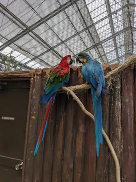 神戸どうぶつ王国に投稿された画像（2023/6/6）