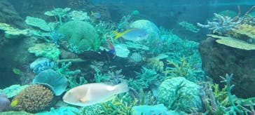 名古屋港水族館に投稿された画像（2023/6/6）