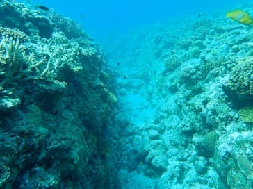 NEWS那覇店に投稿された画像（2023/6/6）