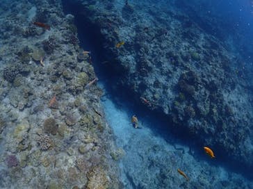 NEWS那覇店に投稿された画像（2023/6/6）