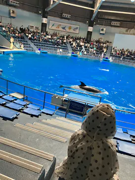 マクセル アクアパーク品川に投稿された画像（2023/6/6）