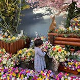 ひらかたパークに投稿された画像（2023/6/7）