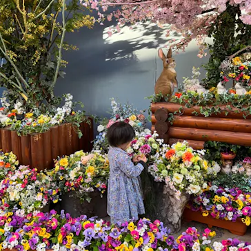 ひらかたパークに投稿された画像（2023/6/6）