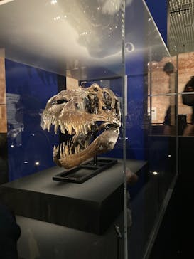 特別展「恐竜博2023」に投稿された画像（2023/6/7）
