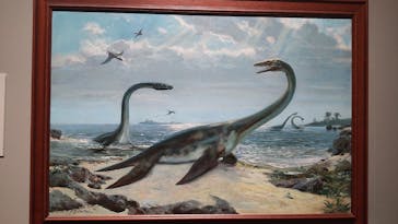 特別展「恐竜図鑑―失われた世界の想像／創造」（上野の森美術館）に投稿された画像（2023/6/7）