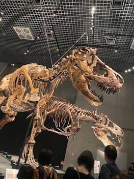 特別展「恐竜博2023」に投稿された画像（2023/6/7）