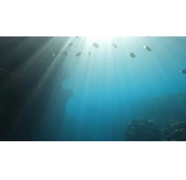 武藤潜水に投稿された画像（2023/6/7）