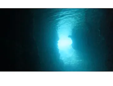 武藤潜水に投稿された画像（2023/6/7）