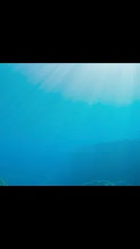 武藤潜水に投稿された画像（2023/6/7）