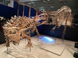 特別展「恐竜博2023」に投稿された画像（2023/6/7）