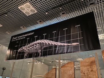 特別展「恐竜博2023」に投稿された画像（2023/6/7）