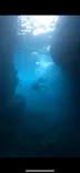 武藤潜水に投稿された画像（2023/6/7）