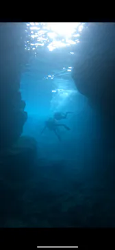 武藤潜水に投稿された画像（2023/6/7）