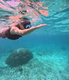 宮古島 ADVENTURE PiPi（ミヤコジマ アドベンチャー ピピ）に投稿された画像（2023/6/7）