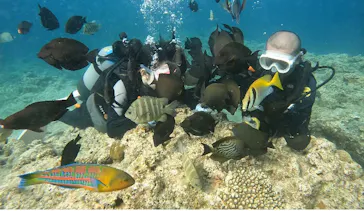 武藤潜水に投稿された画像（2023/6/7）