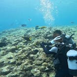 青の洞窟専門店　沖縄ダイビングショップ和に投稿された画像（2023/6/7）