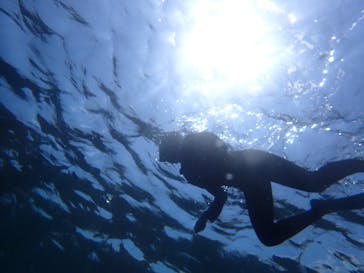 石垣島 ADVENTURE PiPi（イシガキジマアドベンチャーピピ）に投稿された画像（2023/6/7）