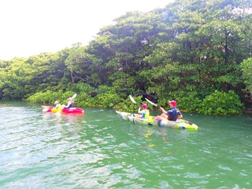 石垣島 ADVENTURE PiPi（イシガキジマアドベンチャーピピ）に投稿された画像（2023/6/7）