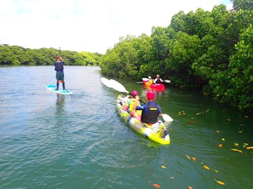 石垣島 ADVENTURE PiPi（イシガキジマアドベンチャーピピ）に投稿された画像（2023/6/7）