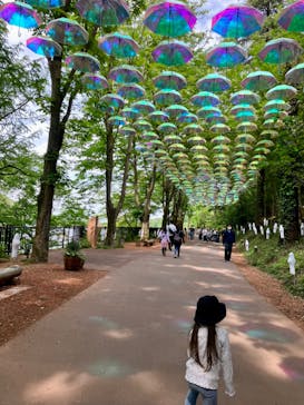 ムーミンバレーパークに投稿された画像（2023/6/7）