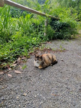 三溪園に投稿された画像（2023/6/7）