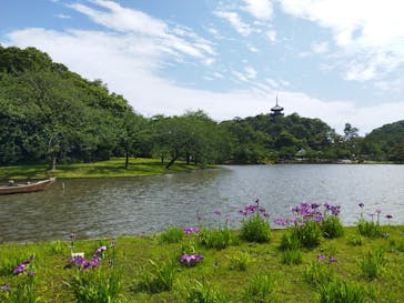 三溪園に投稿された画像（2023/6/7）