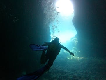 DIVING-SHOP SUNSに投稿された画像（2023/6/8）