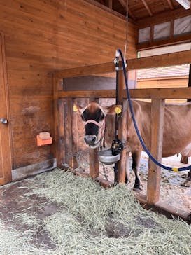 まかいの牧場に投稿された画像（2023/6/8）