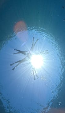 DIVING-SHOP SUNSに投稿された画像（2023/6/8）