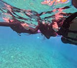 DIVING-SHOP SUNSに投稿された画像（2023/6/8）