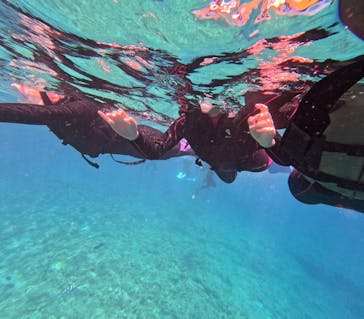 DIVING-SHOP SUNSに投稿された画像（2023/6/8）