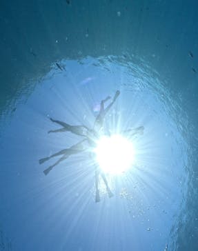 DIVING-SHOP SUNSに投稿された画像（2023/6/8）