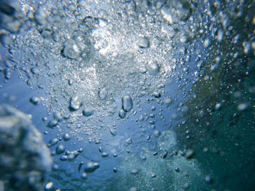 沖縄マリンサービス碧に投稿された画像（2023/6/8）