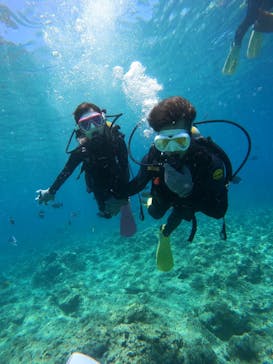 沖縄マリンサービス碧に投稿された画像（2023/6/8）